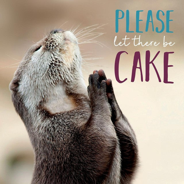 Abacus Please Let There Be Cake birthday card 165x165mm, imported from the UK