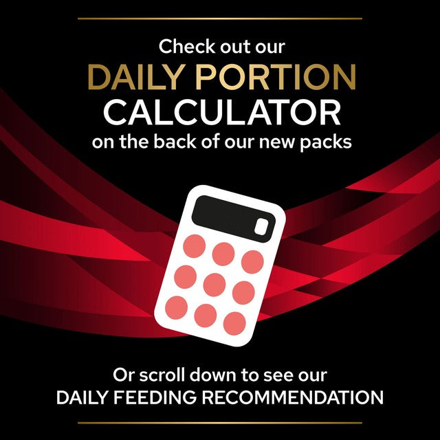 Pro Plan DM Diabetes Management dry cat food, imported from the UK