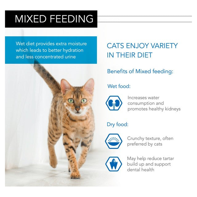 Pro Plan Nutrisavour kitten wet food with turkey (British brand)