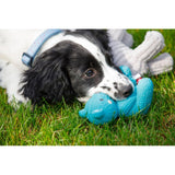Petface latex teddy bear puppy toy small, UK version