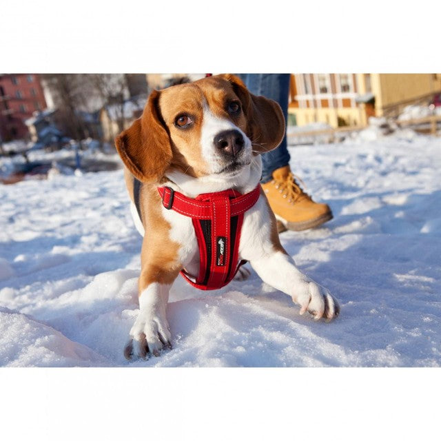 EzyDog Chest Plate Black Dog Harness Medium - British product
