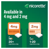 Nicorette fruit fusion nicotine chewing gum 4mg 105 pieces, imported from the UK