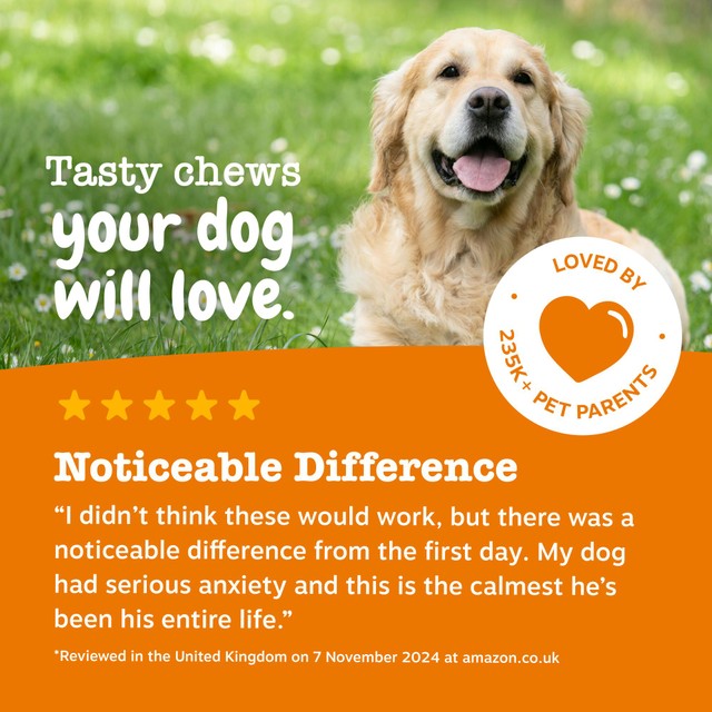 Zesty Paws calming dog chews turkey flavour, imported from the UK