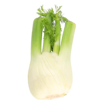 M&S Fenchel Gemüse