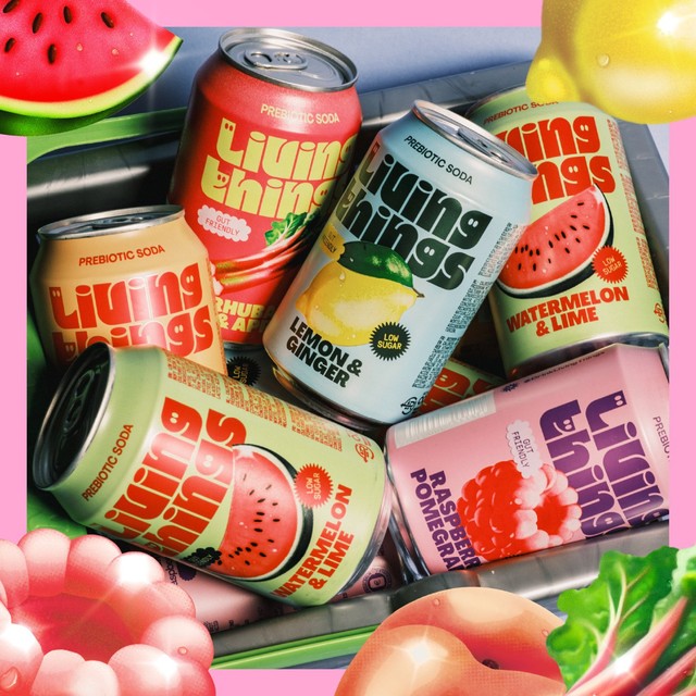 Living Things Rhubarb & Apple Biotic Soda 4 x 330ml, UK version