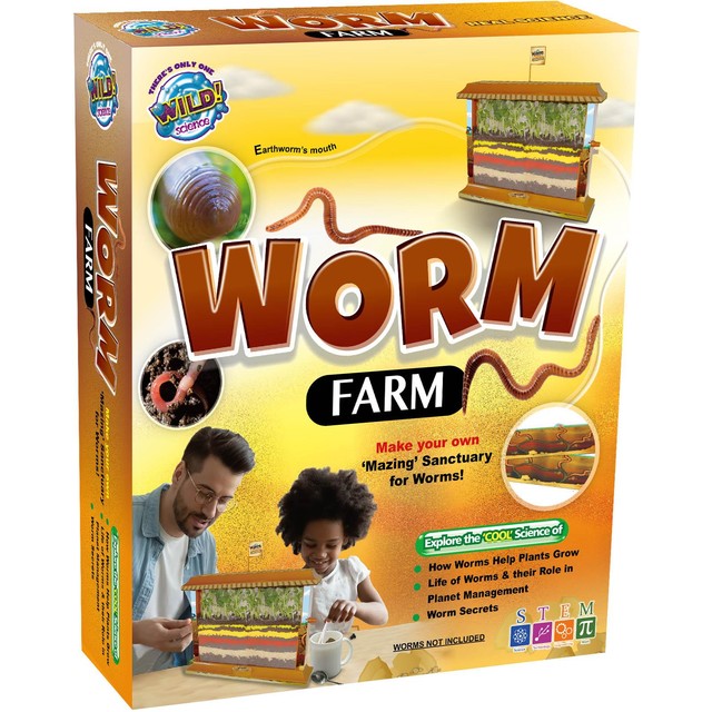 Wild! Science Worm Farm observation STEM kit, British brand