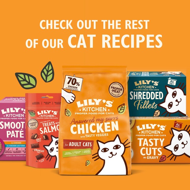 Lily's Kitchen mature cat pate multipack 680g (British brand)