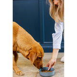 Mason Cash Reactive Paw dog bowl 15cm, imported from the UK