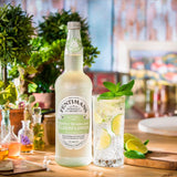 Fentimans Gently Sparkling Elderflower Cordial 750ml - British product