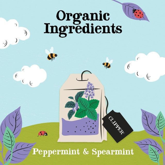 Clipper Peppermint & Spearmint herbal tea bags 20 pack - British product