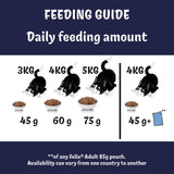 Felix dry cat food salmon and vegetables 750g - British product