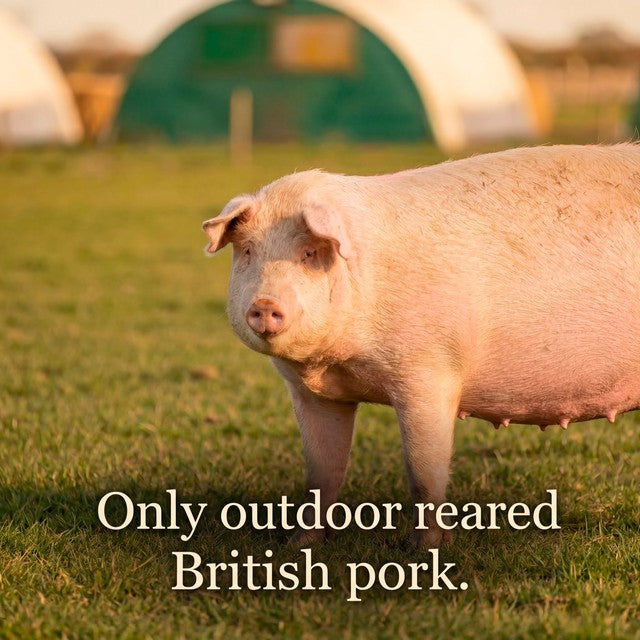 Serious Pig spicy salami snacks 30g (British brand)