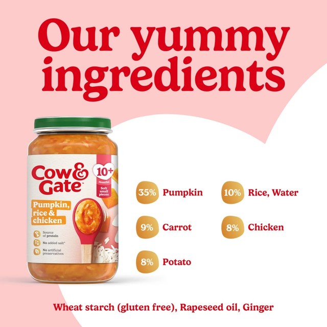 Cow & Gate pumpkin chicken rice baby food meal jar 200g - British product