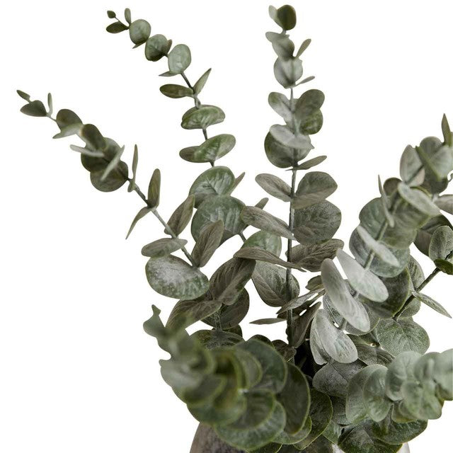 M&S artificial eucalyptus in ceramic pot, green, imported from the UK
