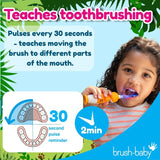 Brush-Baby Toby Tiger electric toothbrush for kids - British product