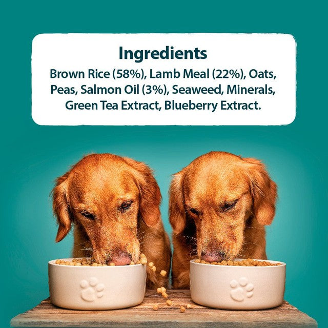 Burns Original Lamb & Brown Rice dog food 6kg - British product