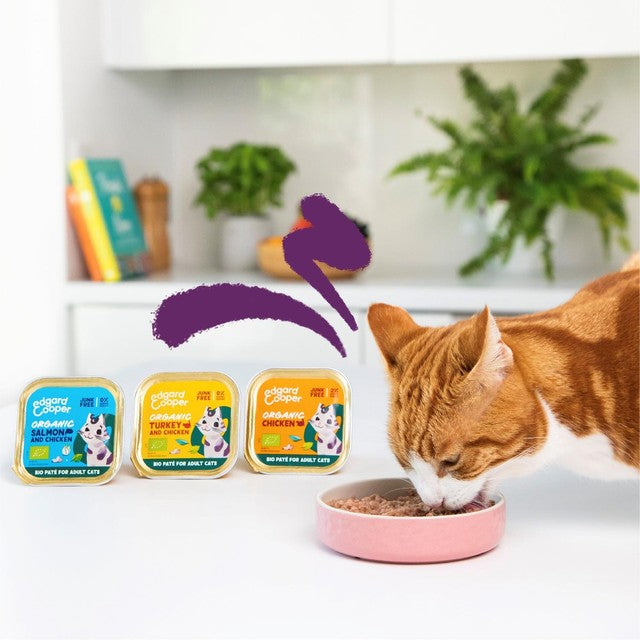 Edgard and Cooper organic cat pate with salmon and chicken 85g - British product