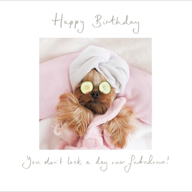 Woodmansterne spa dog themed birthday greeting card - British product