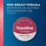 Vaseline lip balm Rosy Lips 20g (British brand)