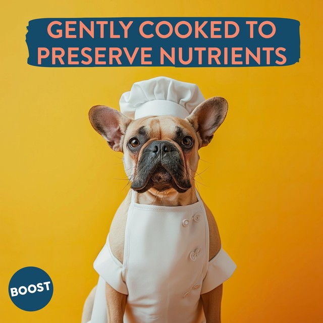 Boost Pet Meat Feast complete dog meal (British brand)
