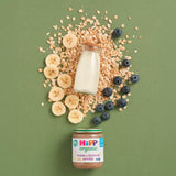HiPP Organic Banana & Blueberry Porridge Baby Food 160g, UK version
