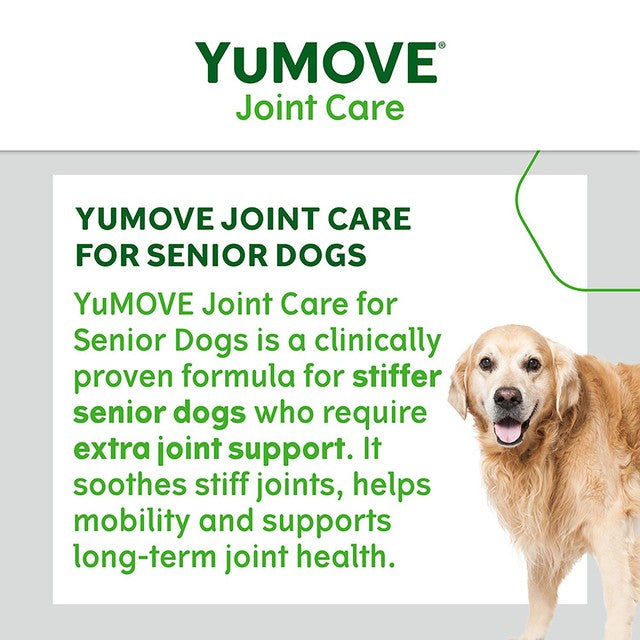 Lintbells YuMove Senior dog joint supplement (British brand)