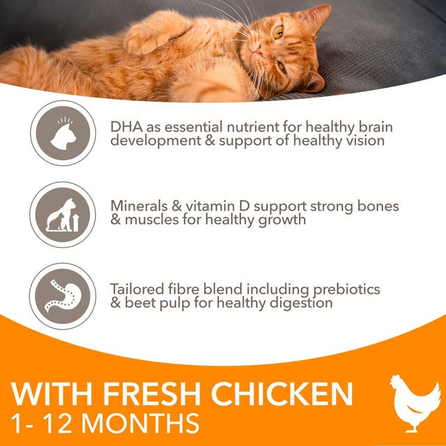 IAMS kitten dry cat food fresh chicken 800g, UK version