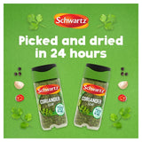 Schwartz coriander leaf jar 7g (British brand)