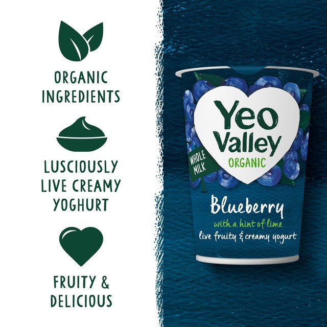 Yeo Valley Blueberry Yoghurt with Lime 450g (British brand)