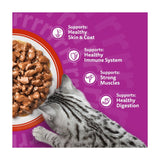 Whiskas wet cat food pouches meaty meals in gravy 80 x 85g (British brand)