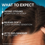 Head & Shoulders Menthol Anti-Dandruff Shampoo - British product