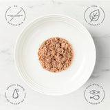 Encore cat broth pouch fish selection 5 x 50g - British product