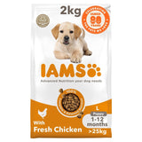 Iams puppy food large breed with fresh chicken 2kg, UK version