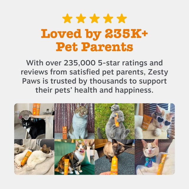 Zesty Paws anti-hairball paste for cats (British brand)