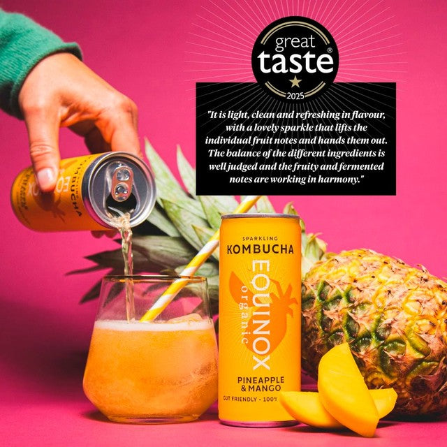 Equinox organic pineapple mango kombucha can, imported from the UK