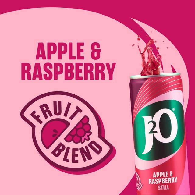 J2O Apple and Raspberry soft drink 12 x 250ml, UK version
