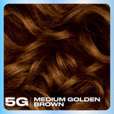 Clairol Nice'n Easy hair dye 5G Medium Golden Brown - British product