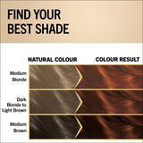 Schwarzkopf Light Copper Brown hair dye (British brand)