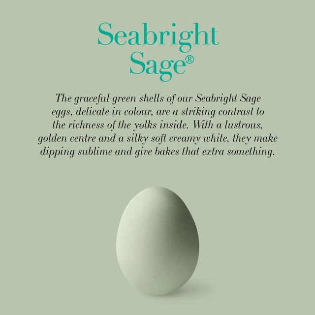 Clarence Court sage green eggs 6 - British product