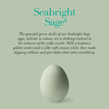 Clarence Court sage green eggs 6 - British product