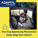 Adaptil dog calming spray 20ml (British brand)