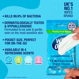 Wet Ones Be Fresh Biodegradable Antibacterial hand wipes (British brand)