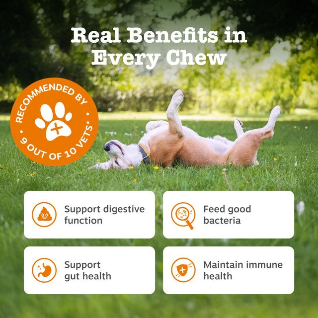 Zesty Paws dog chews probiotic pumpkin flavour - British product