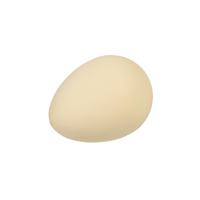 Rex London dinosaur egg hatching toy, imported from the UK