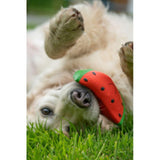 Petface Foodie Faces watermelon latex dog toy large, UK version