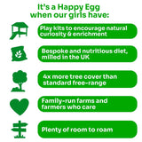 Happy Eggs Large Free Range Eggs 10 pack, UK version