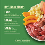 Lily's Kitchen Lamb Hotpot dog food 150g, UK version