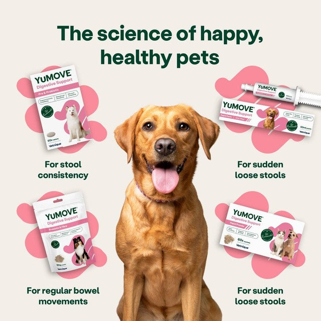 YuMOVE digestive rapid powder for dogs and cats, UK version