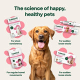 YuMOVE digestive rapid powder for dogs and cats, UK version