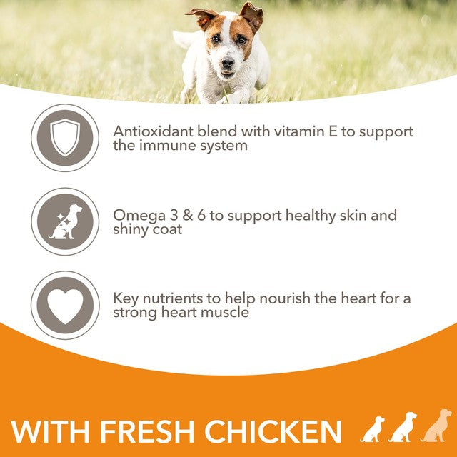 IAMS adult dog food small medium breed with chicken 800g, UK version